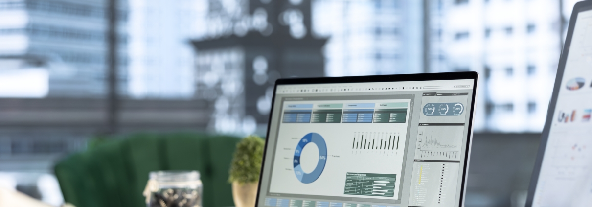 sage300customreports